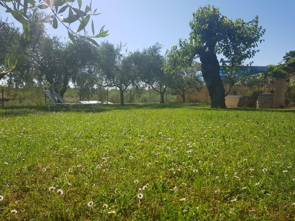 Casa Istria Villa Buje Eksteriør billede