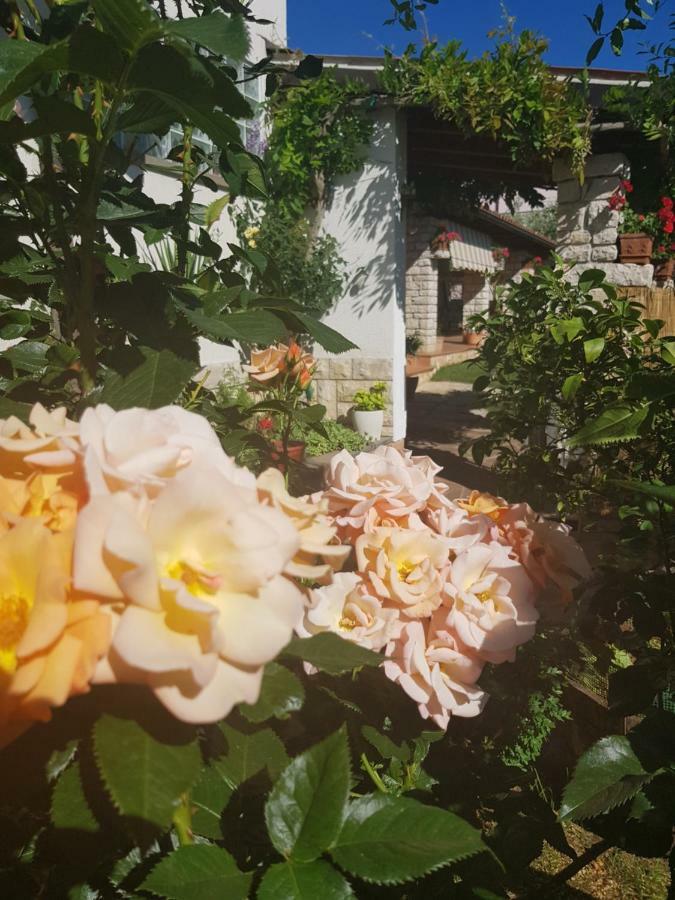 Casa Istria Villa Buje Eksteriør billede